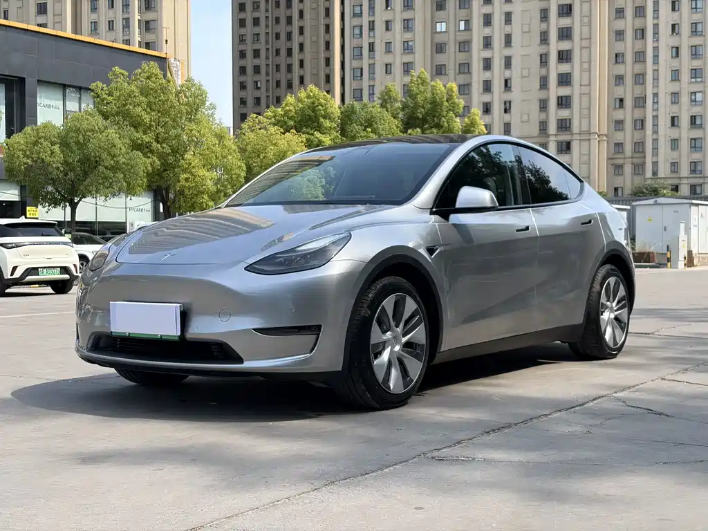 Model Y 2021 standard range rear-wheel drive version купить на сайте DeffCars