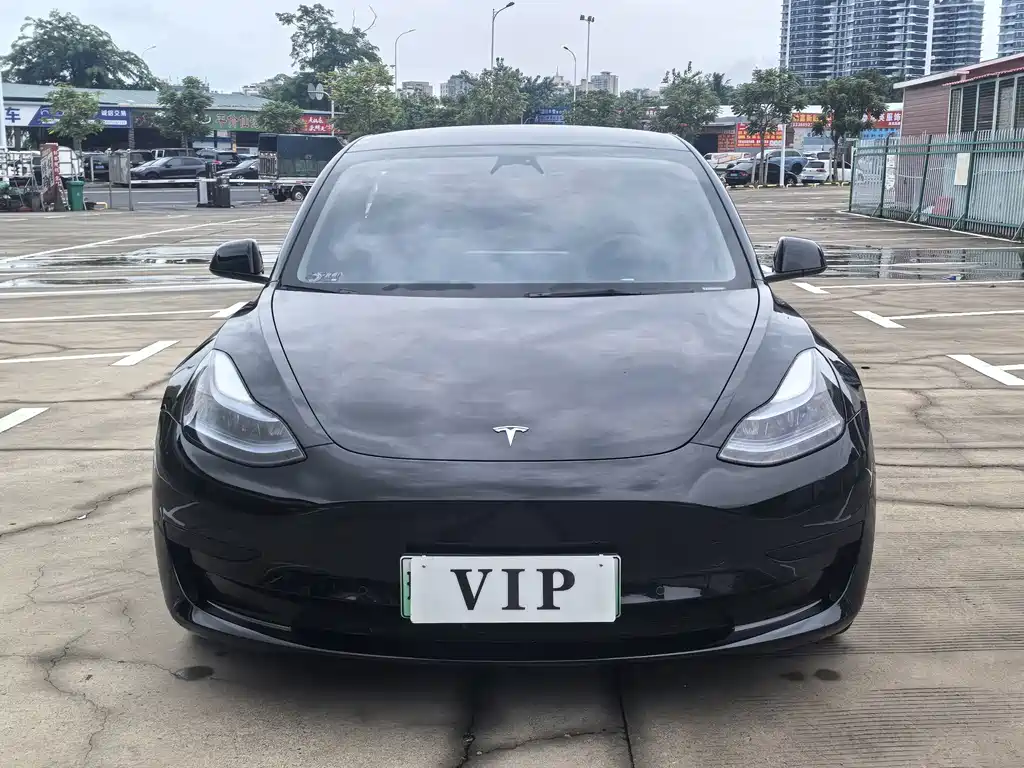 Model 3 2022 rear-wheel drive version купить на сайте DeffCars