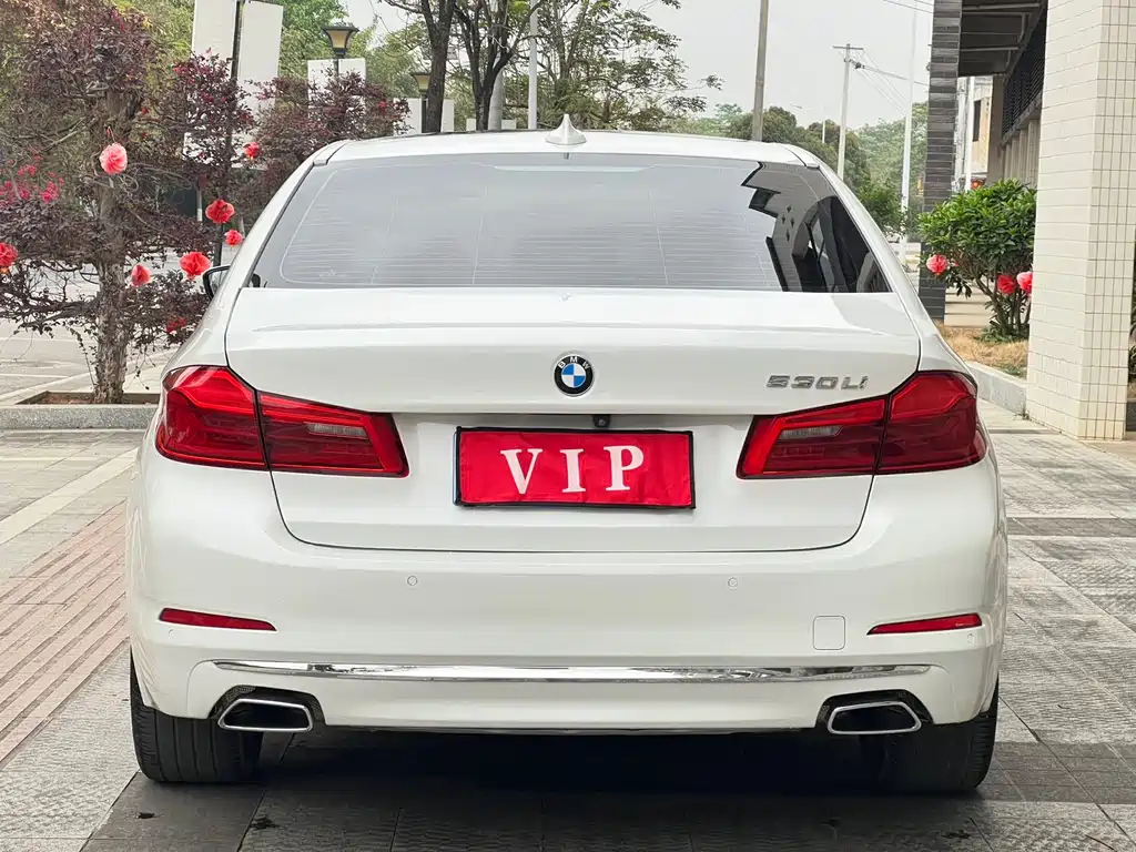 BMW 5 Series 2019 530Li Leading Luxury Package купить на сайте DeffCars