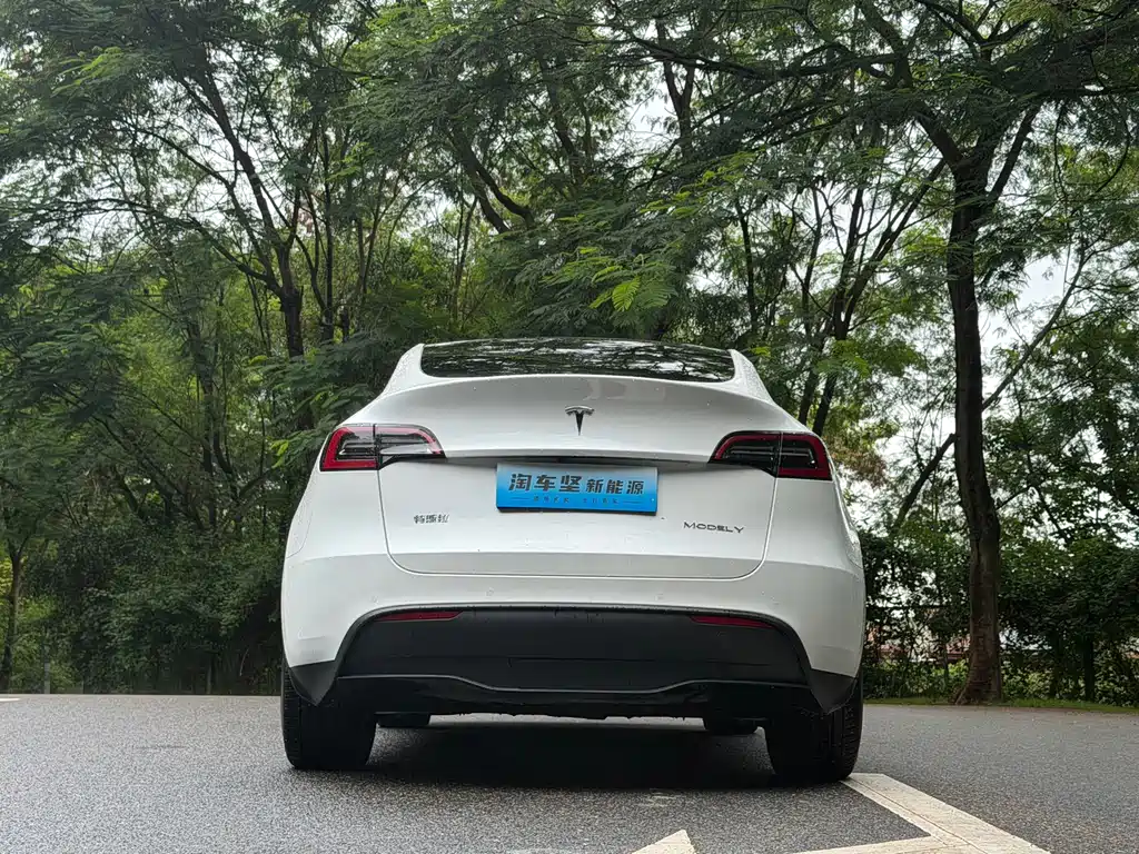 Model Y 2022 facelift rear-wheel drive version купить на сайте DeffCars