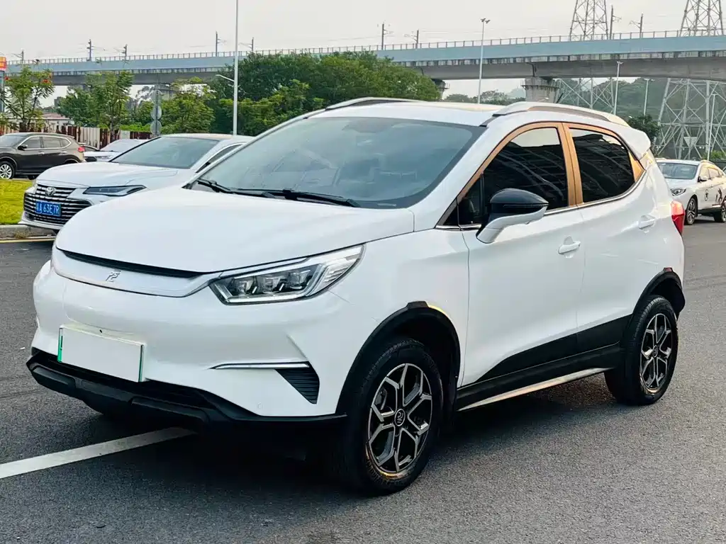 Yuan Pro 2021 Love Lifetime Edition купить на сайте DeffCars