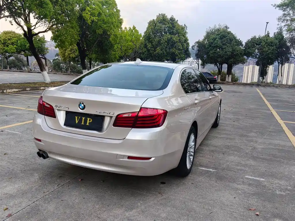BMW 5 Series 2017 525Li Leading Model купить на сайте DeffCars