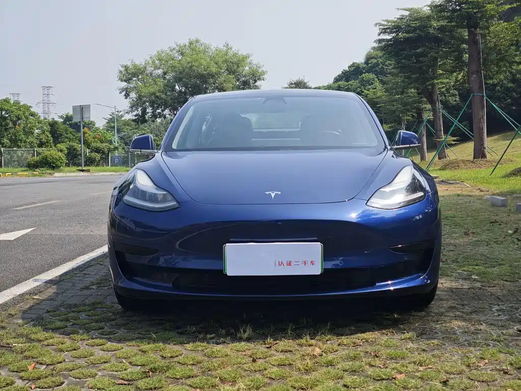 Model 3 imported 2019 standard range rear drive upgraded version купить на сайте DeffCars