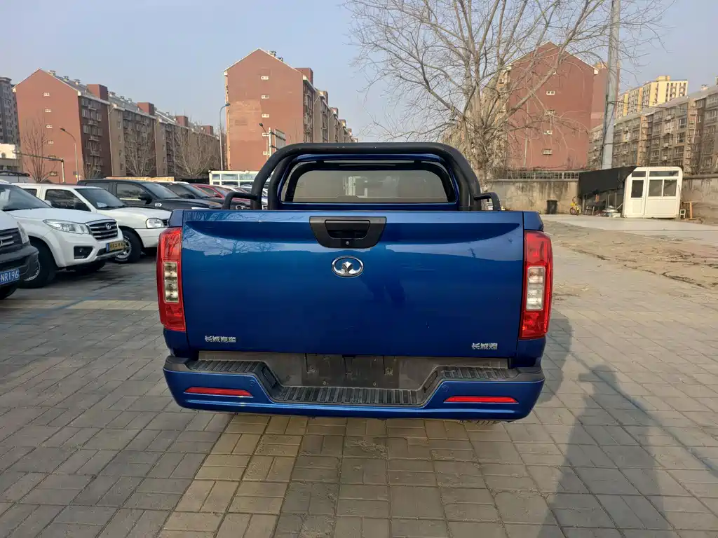 Cannon 2019 2.0T commercial version automatic gasoline two-wheel drive elite long box GW4C20B купить на сайте DeffCars