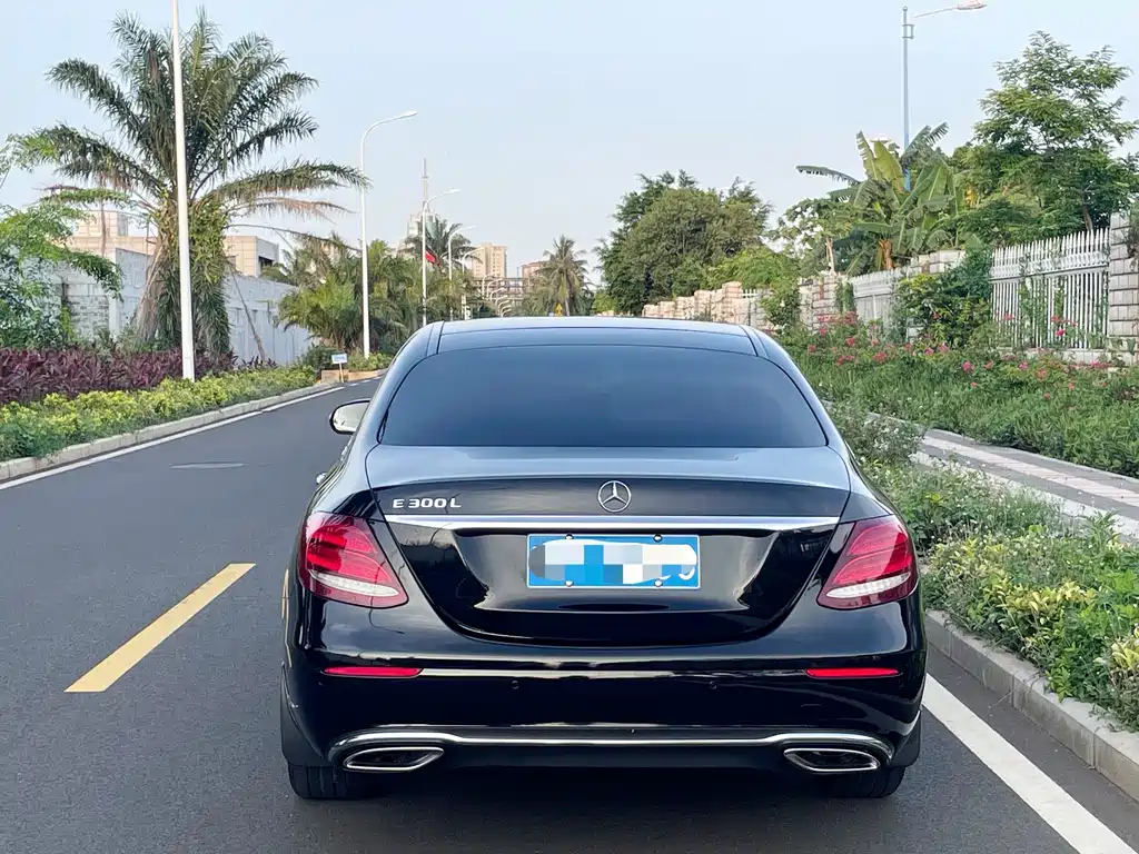 Mercedes-Benz E-Class 2020 Facelift E 300 L Special Edition купить на сайте DeffCars