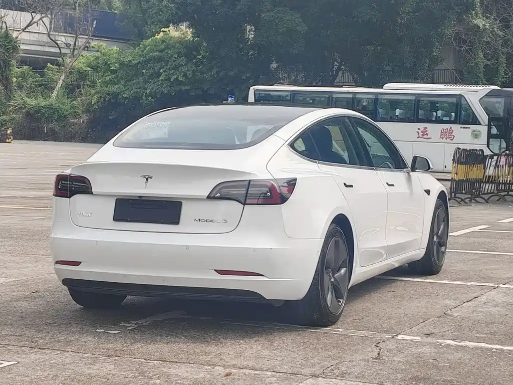 Model 3 2020 Standard Range Rear Drive Upgraded Version купить на сайте DeffCars