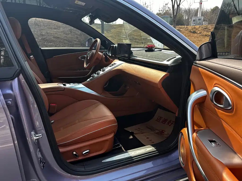 Euler Lightning Cat 2022 555km Premium Edition купить на сайте DeffCars