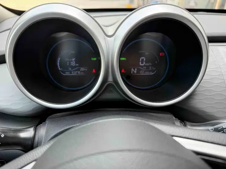 Euler Black Cat 2021 301km basic model купить на сайте DeffCars