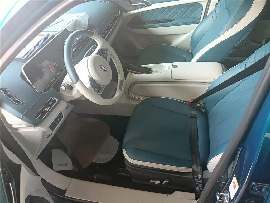 Euler Good Cat 2023 model 401km standard battery life luxury model lithium iron phosphate купить на сайте DeffCars
