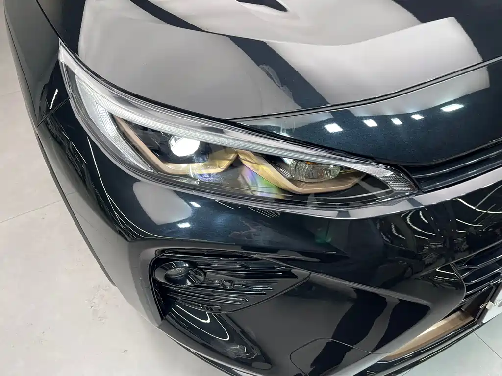 Wilanda 2024 2.0L CVT two-wheel drive luxury PLUS version купить на сайте DeffCars