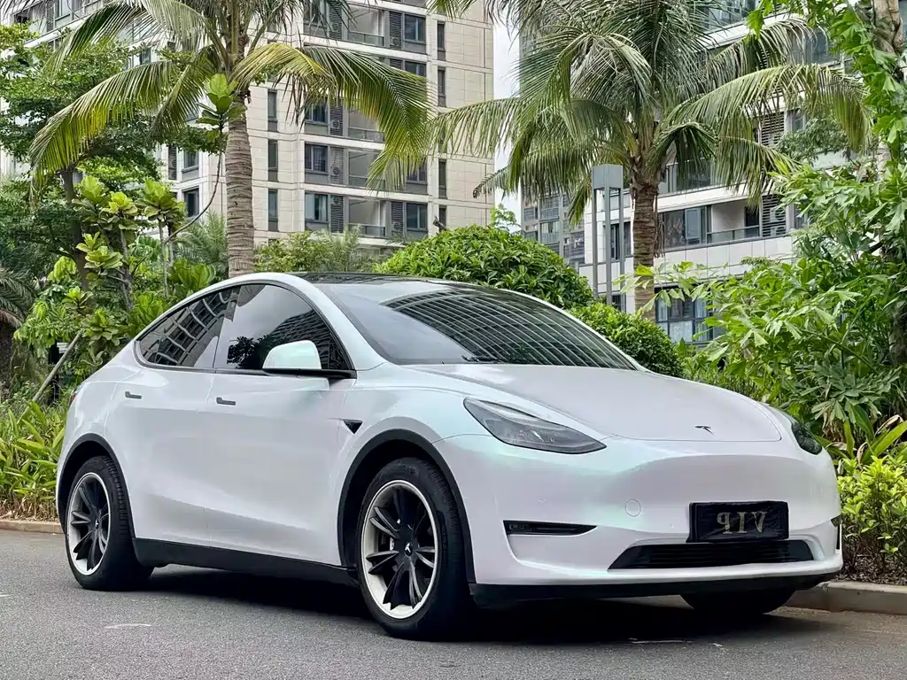 Model Y 2021 standard range rear-wheel drive version купить на сайте DeffCars