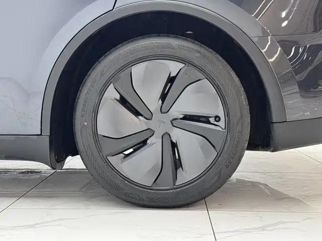 Model Y 2025 rear-wheel drive version купить на сайте DeffCars