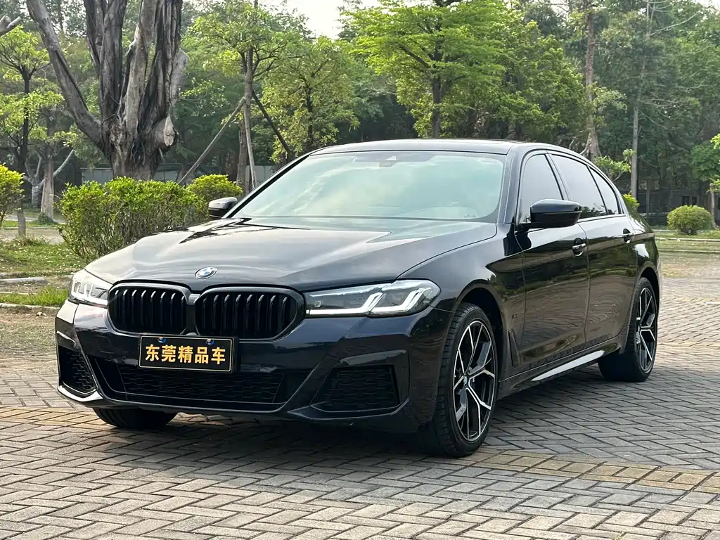 BMW 5 Series 2021 530Li Leading M Sports Package купить на сайте DeffCars