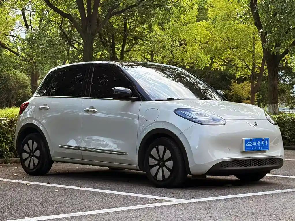 Bingo 2023 333km Delight + купить на сайте DeffCars