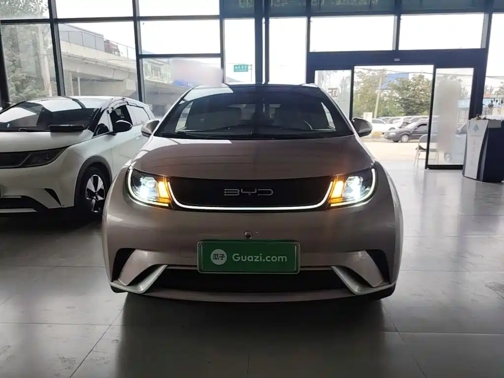 Dolphin 2021 405km Fashion Edition купить на сайте DeffCars