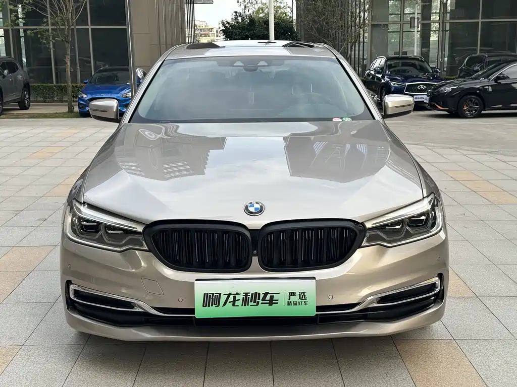 BMW 5 Series New Energy 2019 Model 530Le Luxury Package купить на сайте DeffCars