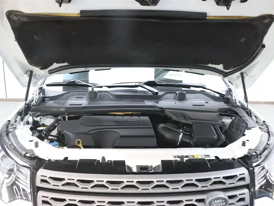 Discover Shenxing 2019 240PS PURE Edition National VI купить на сайте DeffCars