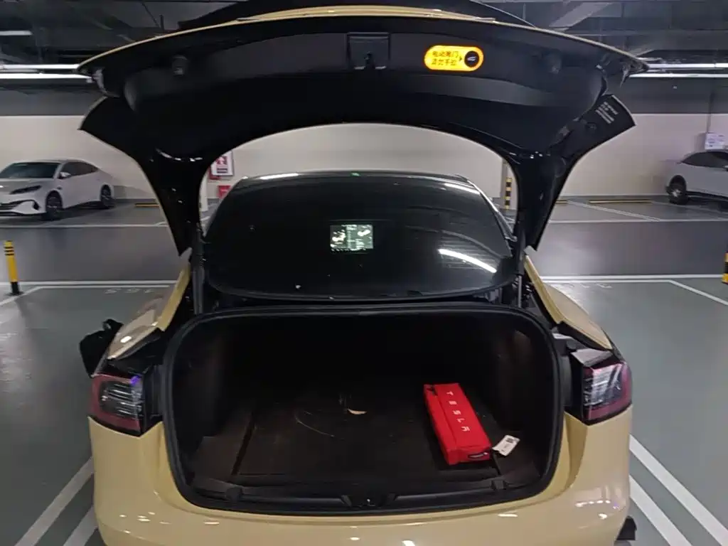 Model 3 2022 rear-wheel drive version купить на сайте DeffCars