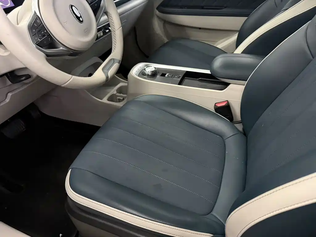 Euler Good Cat 2021 Model 400km Standard Range Athena Edition Lithium Iron Phosphate купить на сайте DeffCars