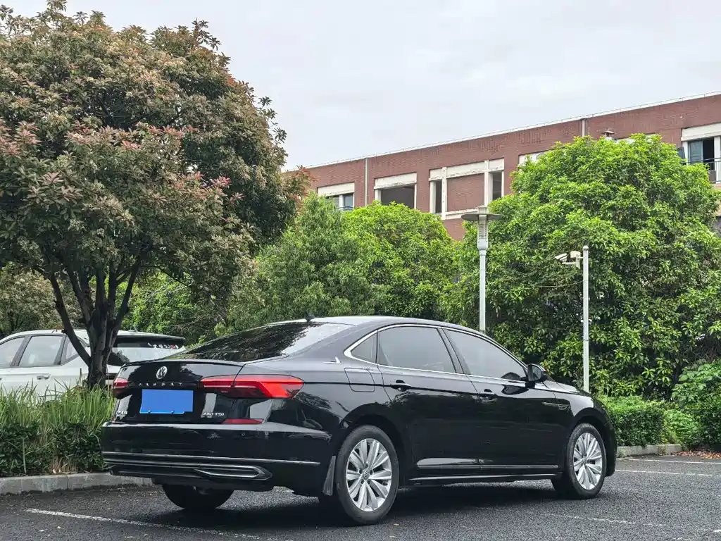 Passat 2019 330TSI Elite Edition National VI купить на сайте DeffCars