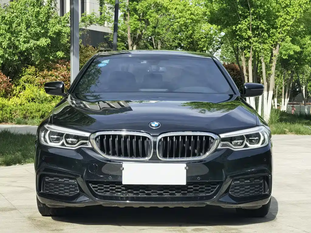 BMW 5 Series 2020 530Li Leading M Sports Package купить на сайте DeffCars