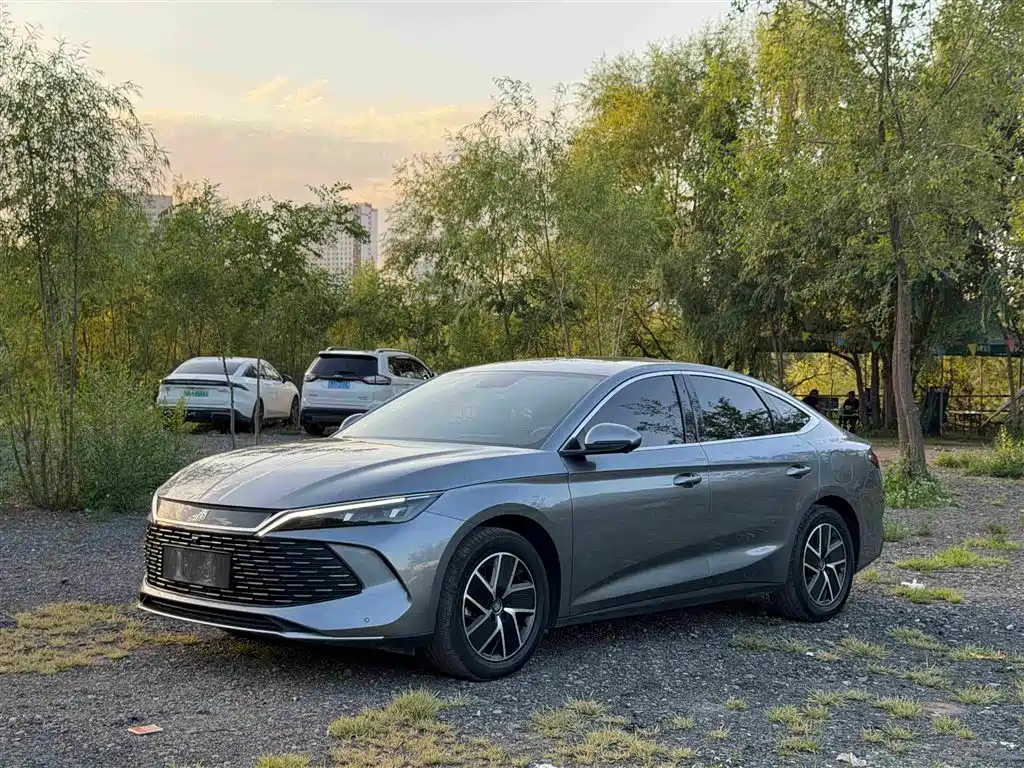 Qin L 2024 DM-i 80KM leading model купить на сайте DeffCars