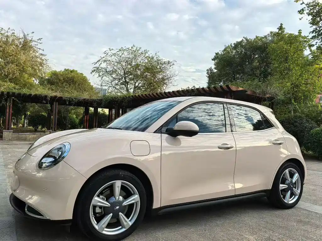 Euler Good Cat 2023 model 401km standard battery life premium type lithium iron phosphate купить на сайте DeffCars