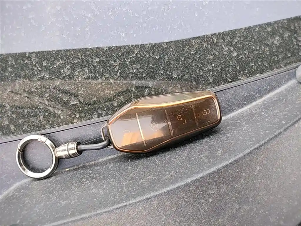 Seagull 2025 305km Free Edition купить на сайте DeffCars