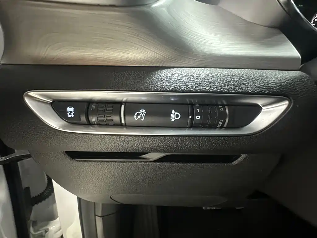Binyue 2021 1.4T DCT Platinum Edition купить на сайте DeffCars