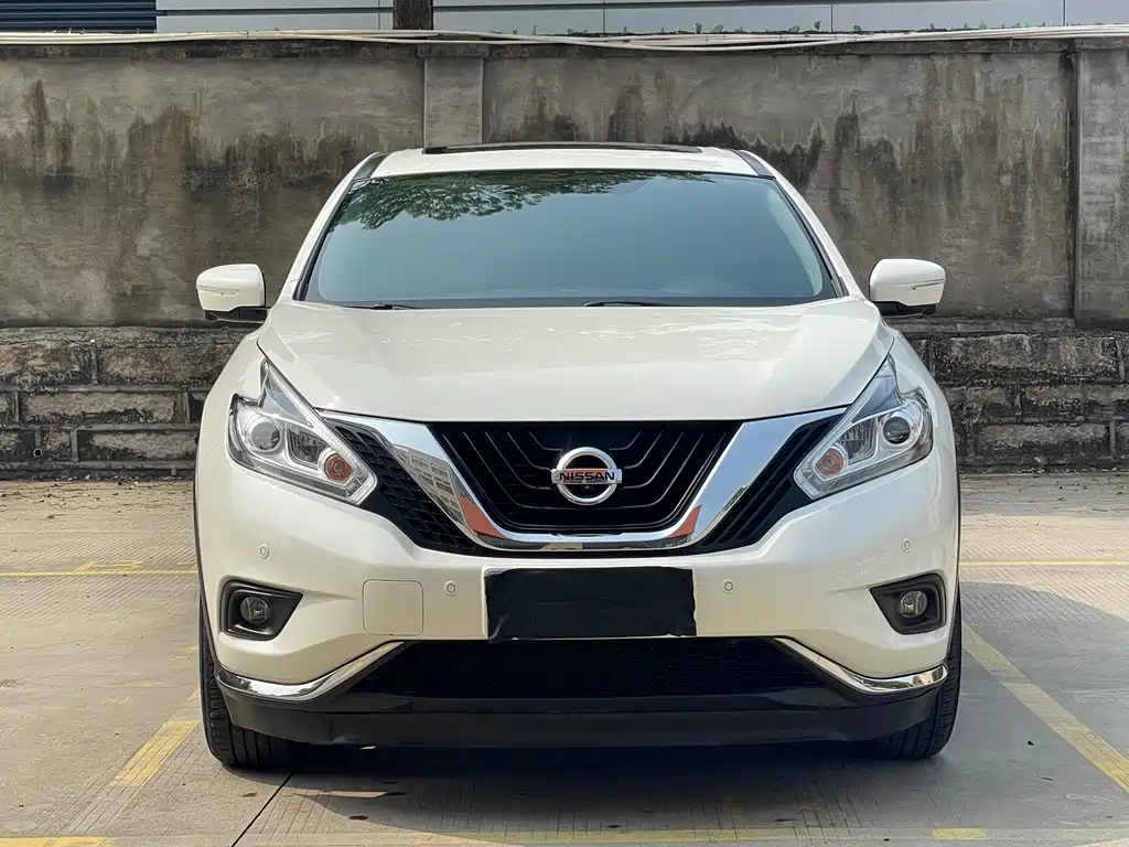Loulan 2019 2.5L XL 2WD Intelligent Luxury Edition National V купить на сайте DeffCars