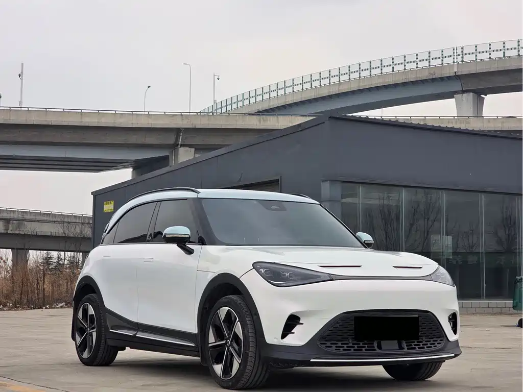 smart elf #1 2022 BRABUS performance version купить на сайте DeffCars