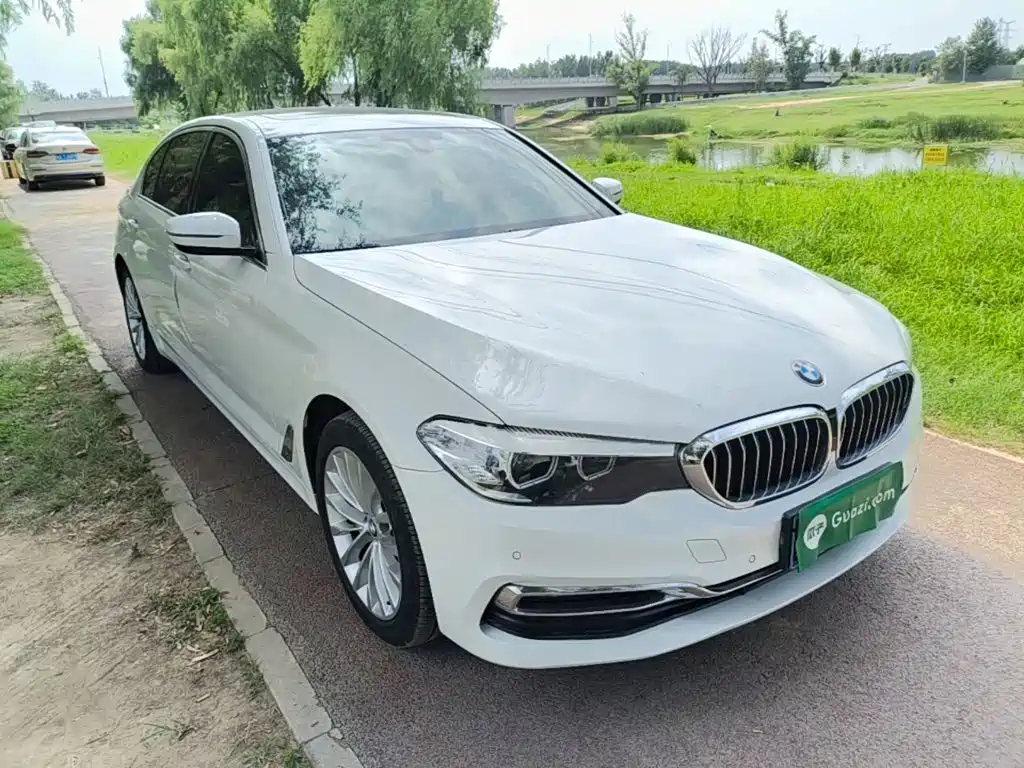 BMW 5 Series 2019 530Li Leading Luxury Package купить на сайте DeffCars