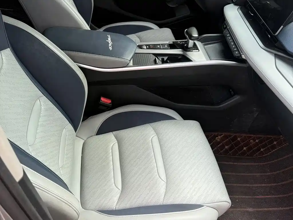 Xingrui 2021 2.0TD Premium Model купить на сайте DeffCars