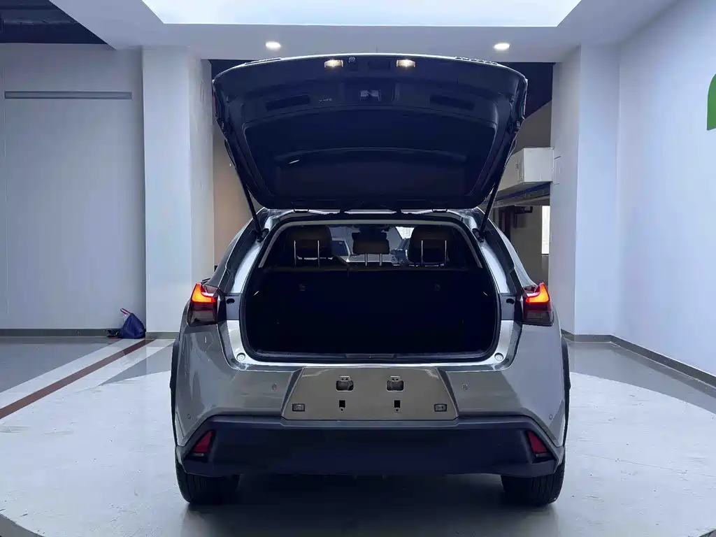 Lexus UX New Energy 2020 300e Pure Edition купить на сайте DeffCars