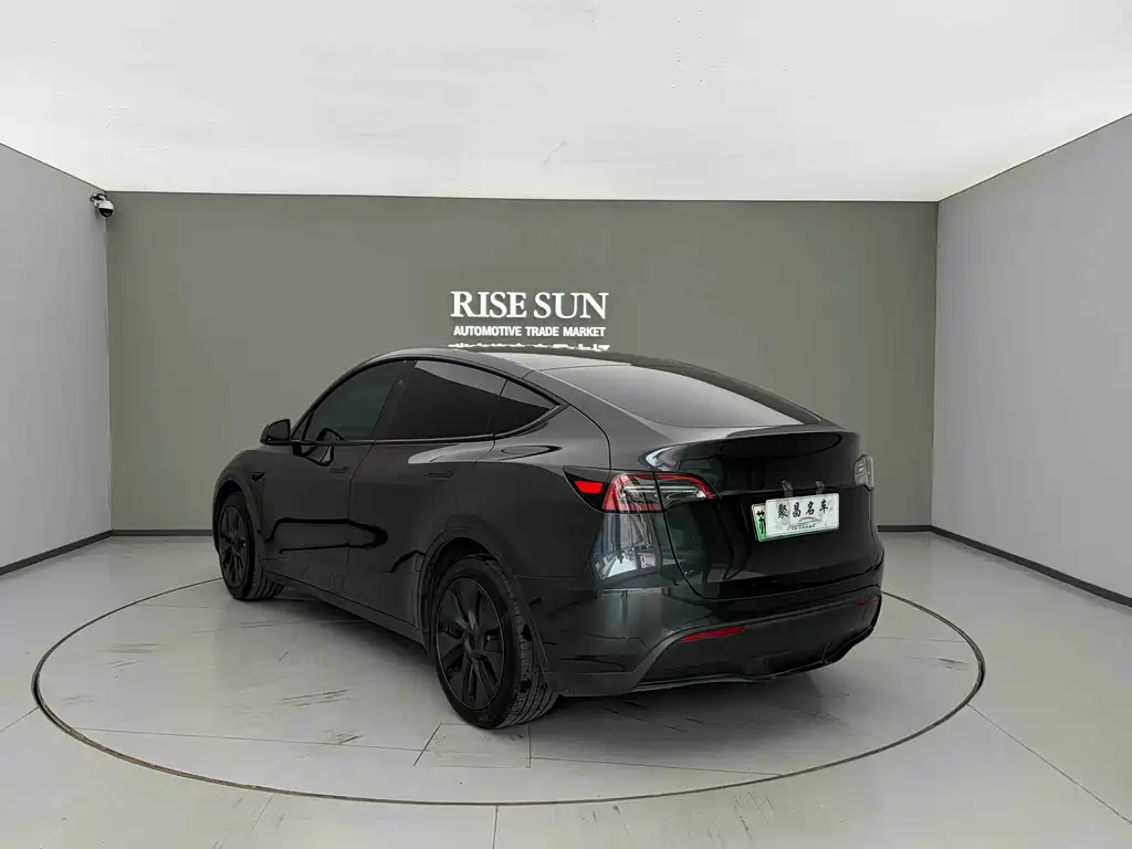 Model Y 2024 rear-wheel drive version купить на сайте DeffCars