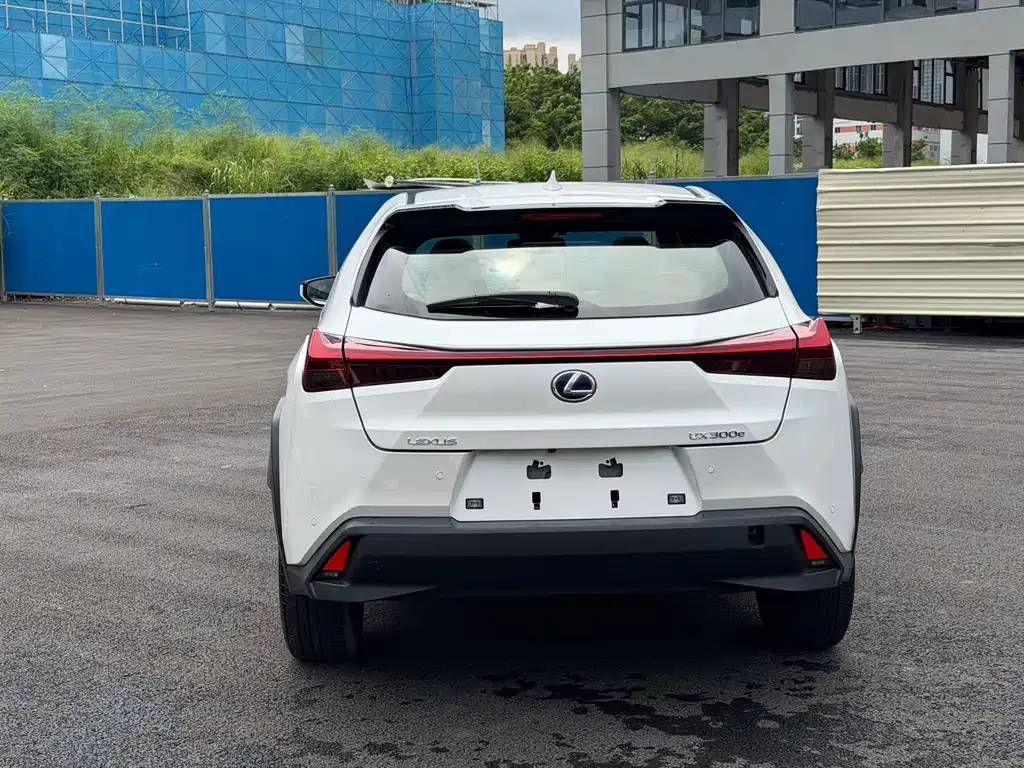 Lexus UX New Energy 2020 300e Pure Joy Edition купить на сайте DeffCars