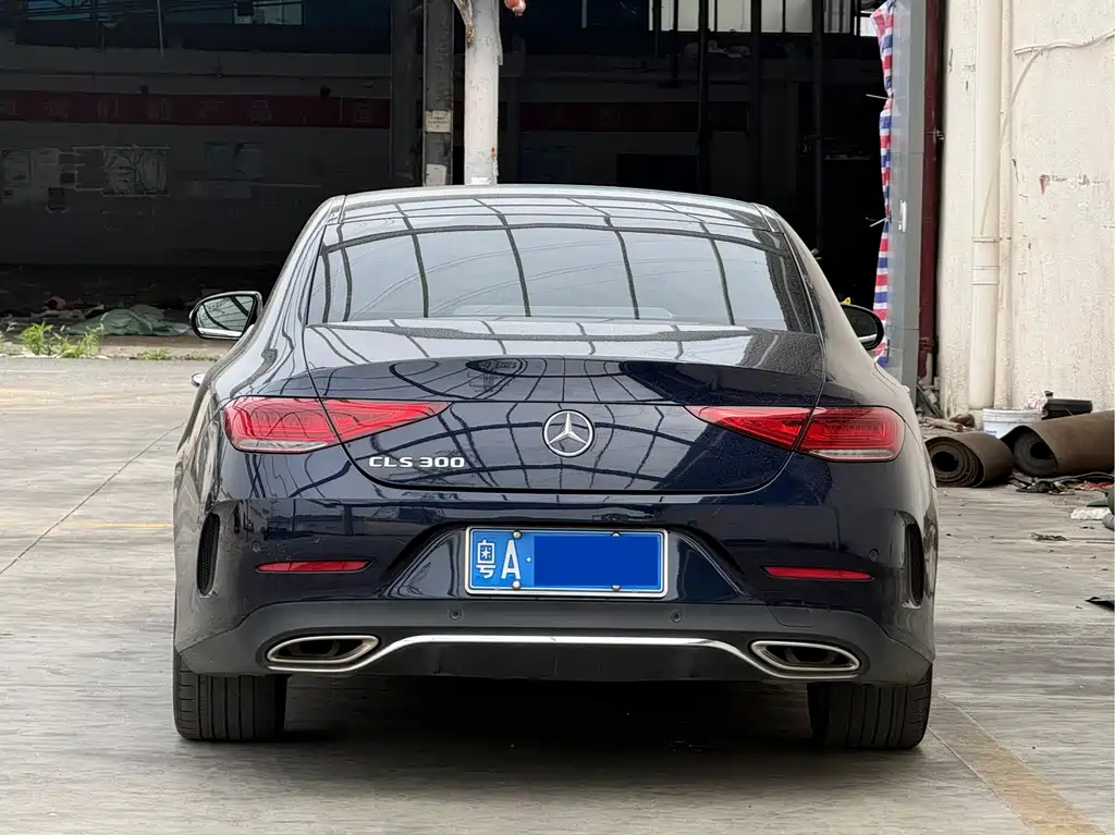 Mercedes-Benz CLS 2020 CLS 300 luxury model купить на сайте DeffCars
