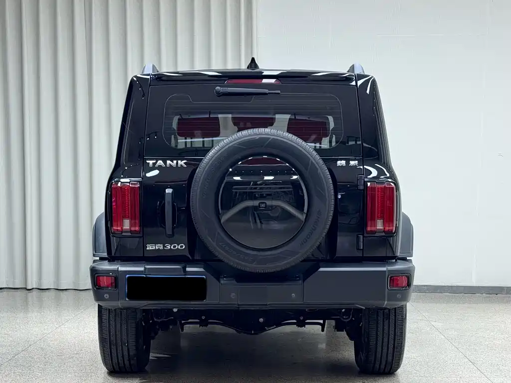 Tank 300 2021 Off-Road Version 2.0T Conqueror купить на сайте DeffCars