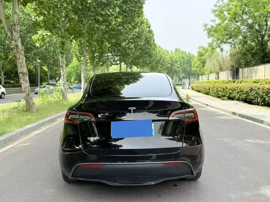 Model Y 2023 rear-wheel drive version купить на сайте DeffCars