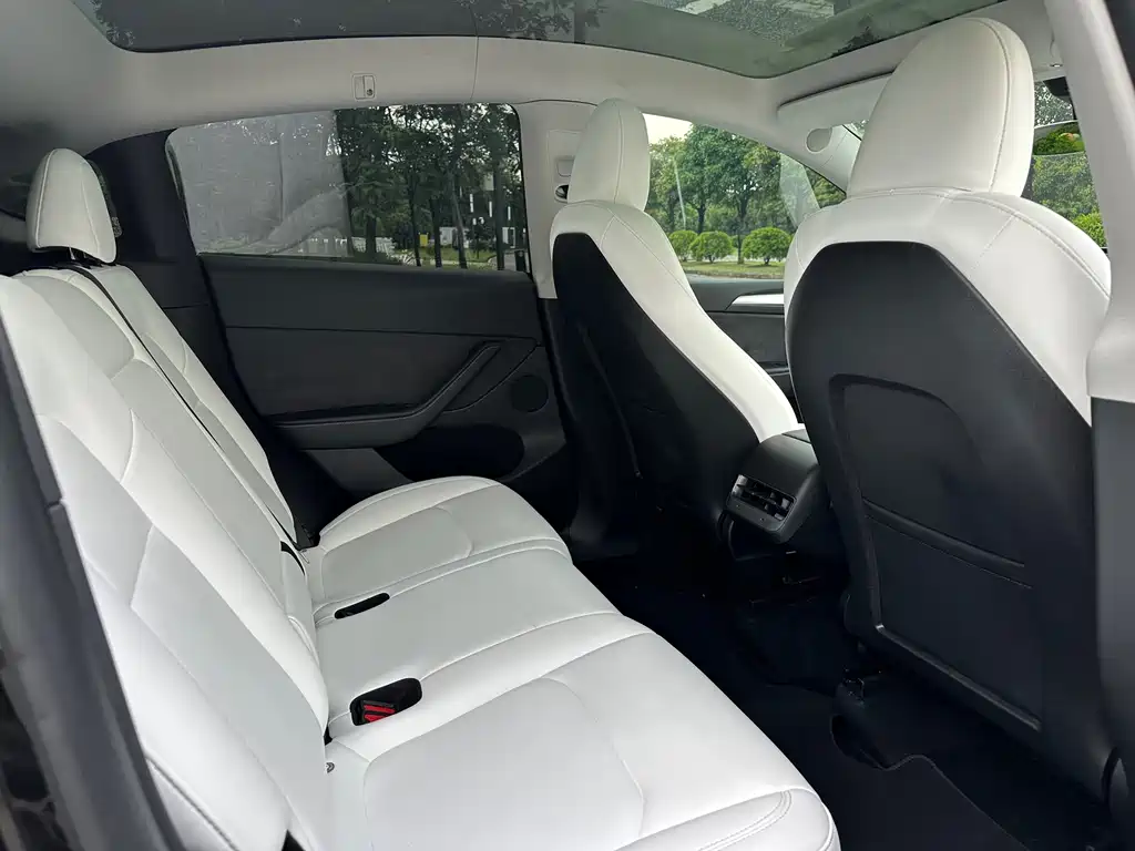 Model Y 2022 modified rear-wheel drive version купить на сайте DeffCars