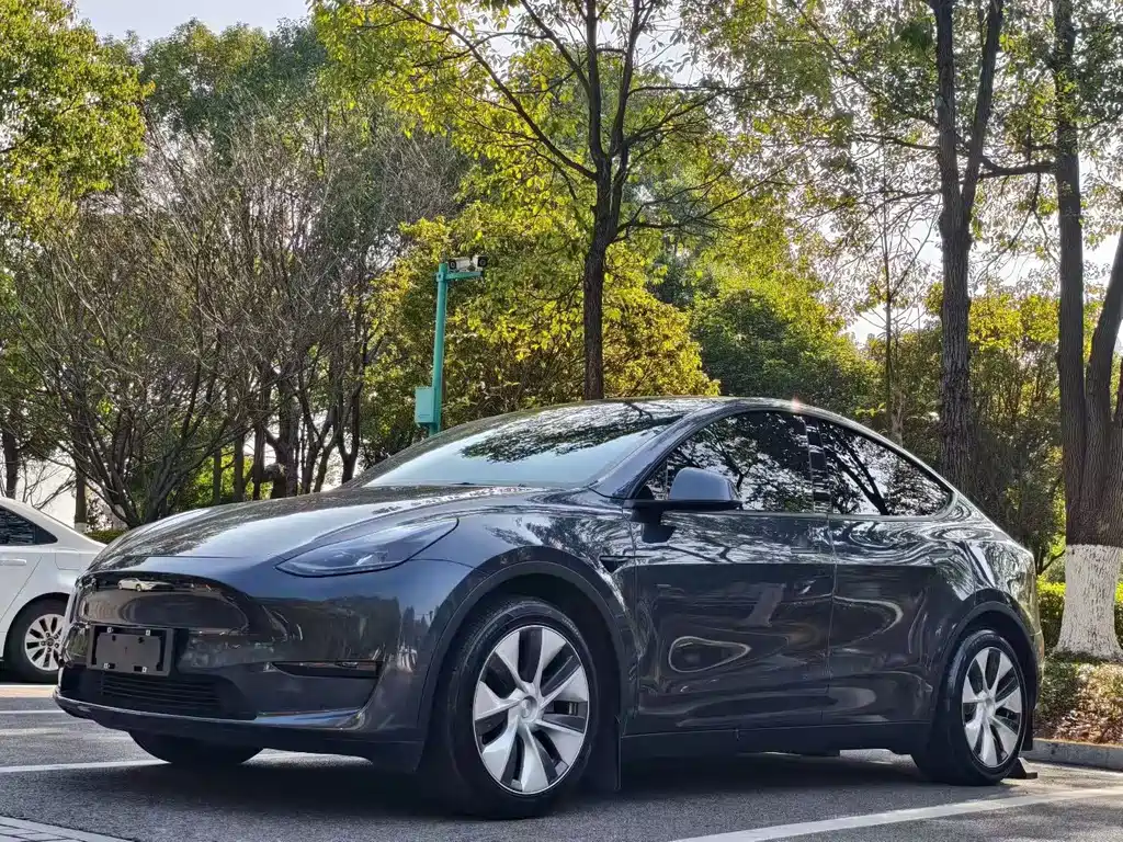 Model Y 2022 rear-wheel drive version купить на сайте DeffCars
