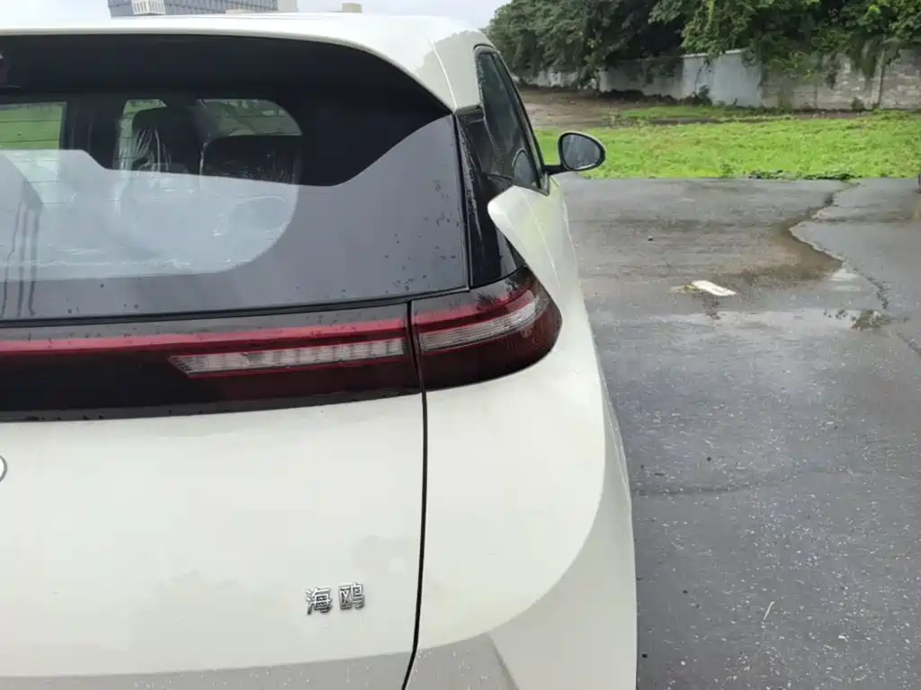 Seagull 2025 Smart Driving Edition 305km Dynamic купить на сайте DeffCars