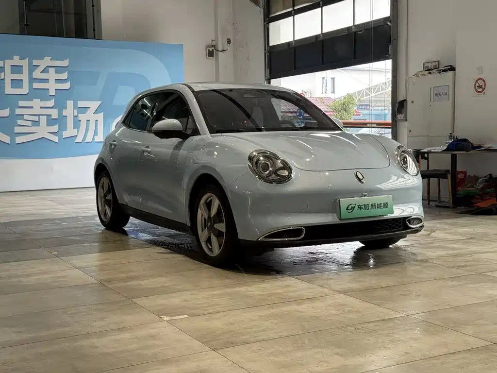 Euler Good Cat 2021 Model 400km Standard Range Venus Edition Lithium Iron Phosphate купить на сайте DeffCars