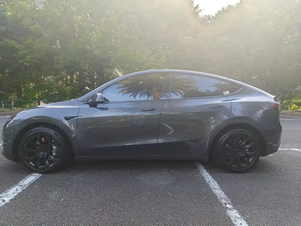Model Y 2021 Long Range All-Wheel Drive Edition купить на сайте DeffCars