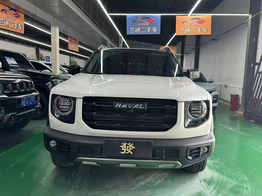Havaldog 2021 1.5T DCT two-wheel drive Labrador version купить на сайте DeffCars
