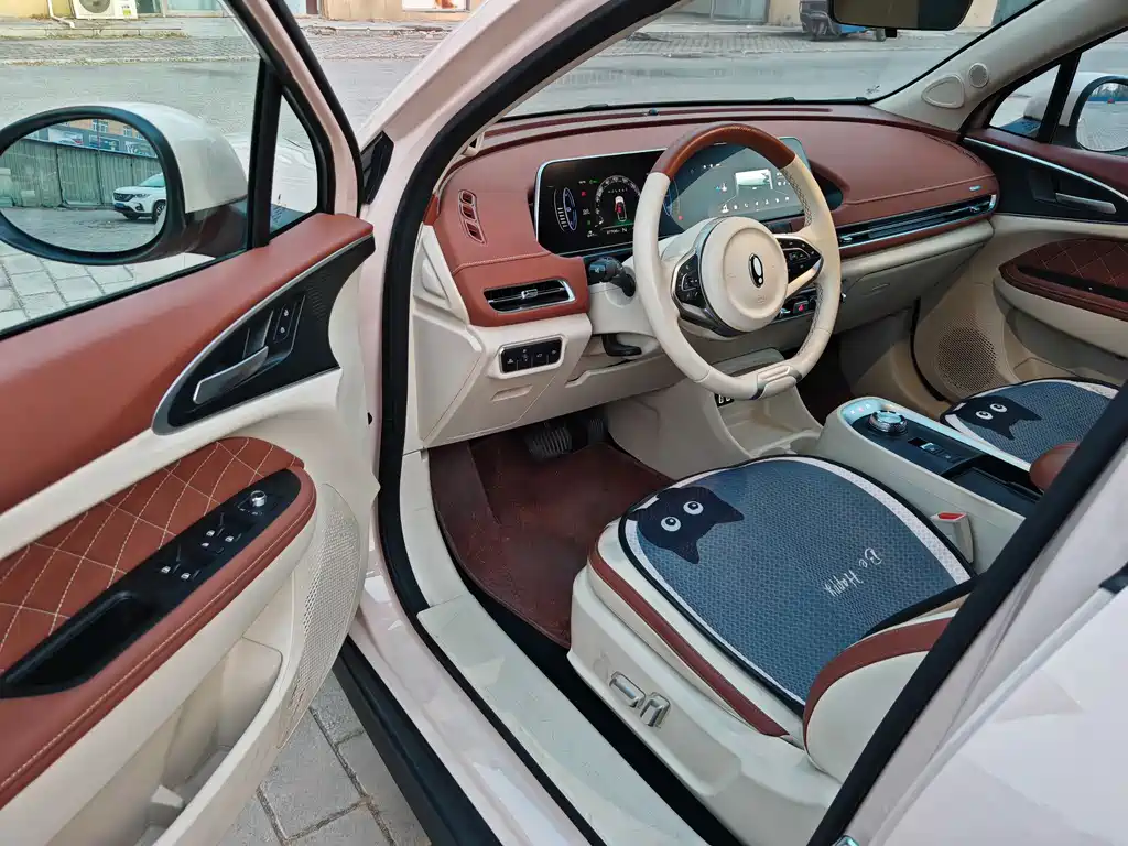 Euler Good Cat 2022 model 400km standard battery life premium type ternary lithium купить на сайте DeffCars