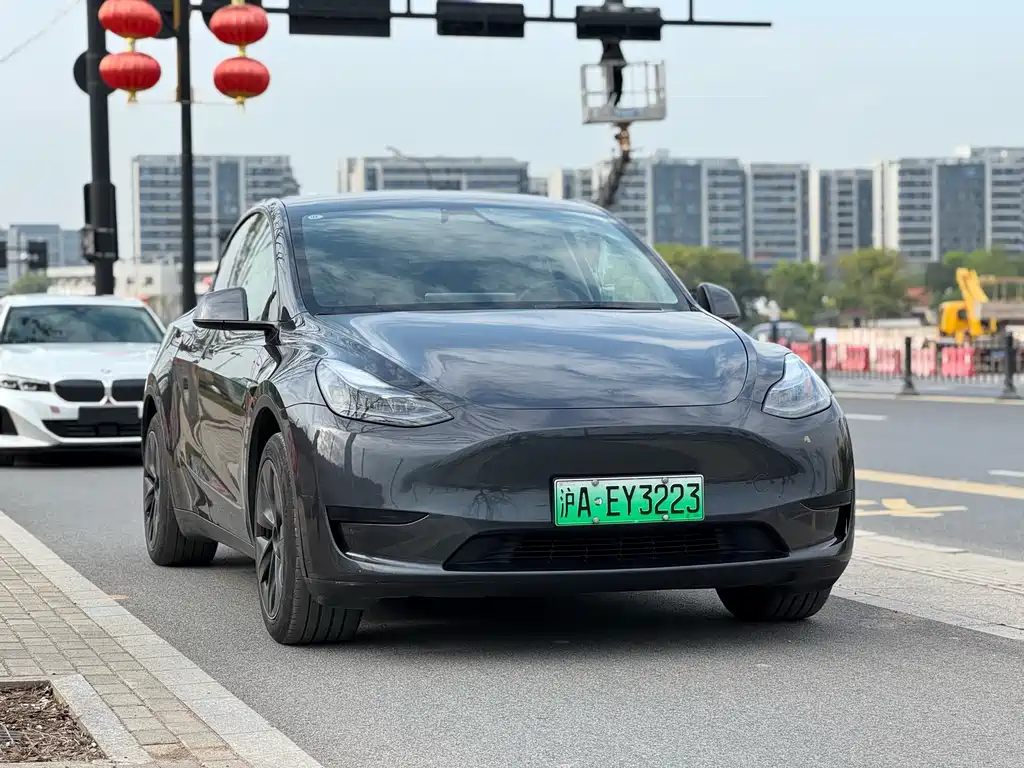 Model Y 2024 rear-wheel drive version купить на сайте DeffCars