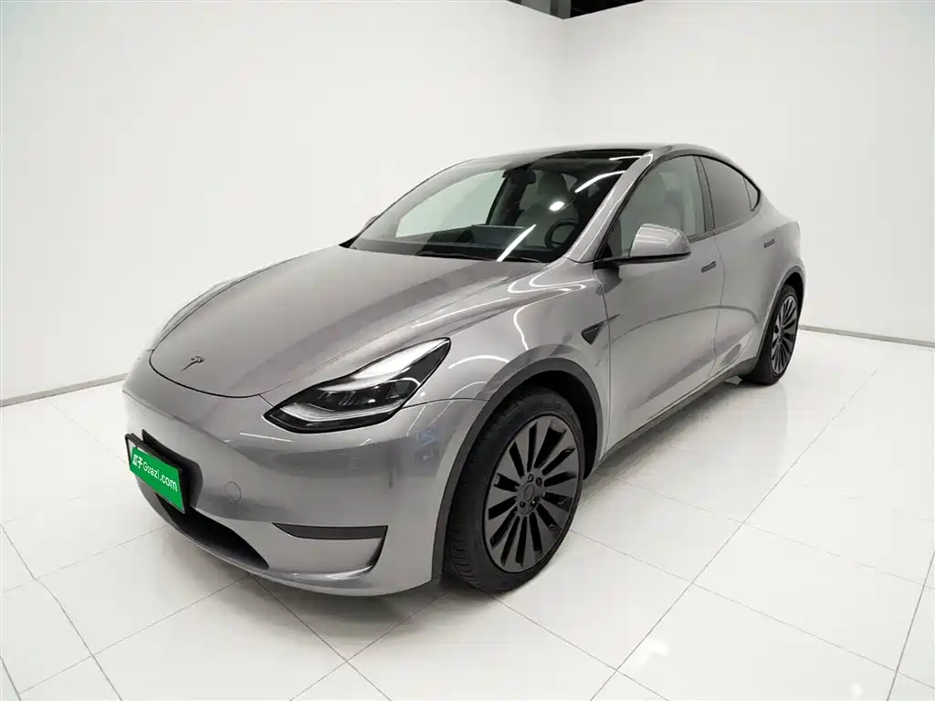 Model Y 2021 standard range rear-wheel drive version купить на сайте DeffCars