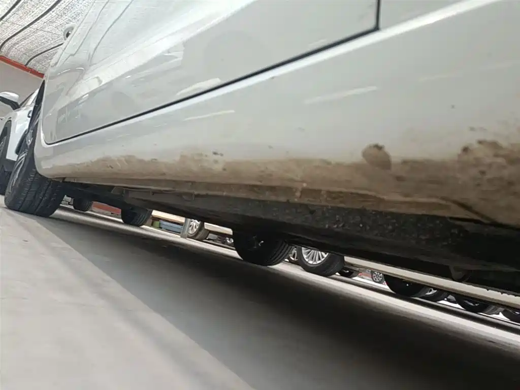 EADO 2021 PLUS Blue Whale NE 1.4T GDI DCT flagship model купить на сайте DeffCars
