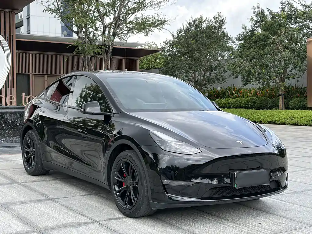 Model Y 2021 standard range rear-wheel drive version купить на сайте DeffCars
